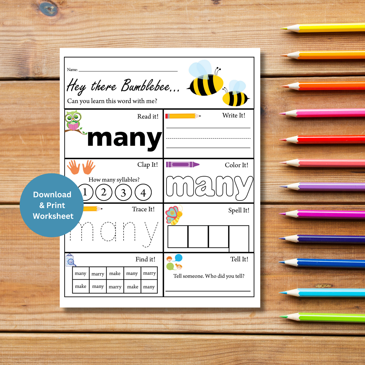Sight Word: Many | Printable Worksheet